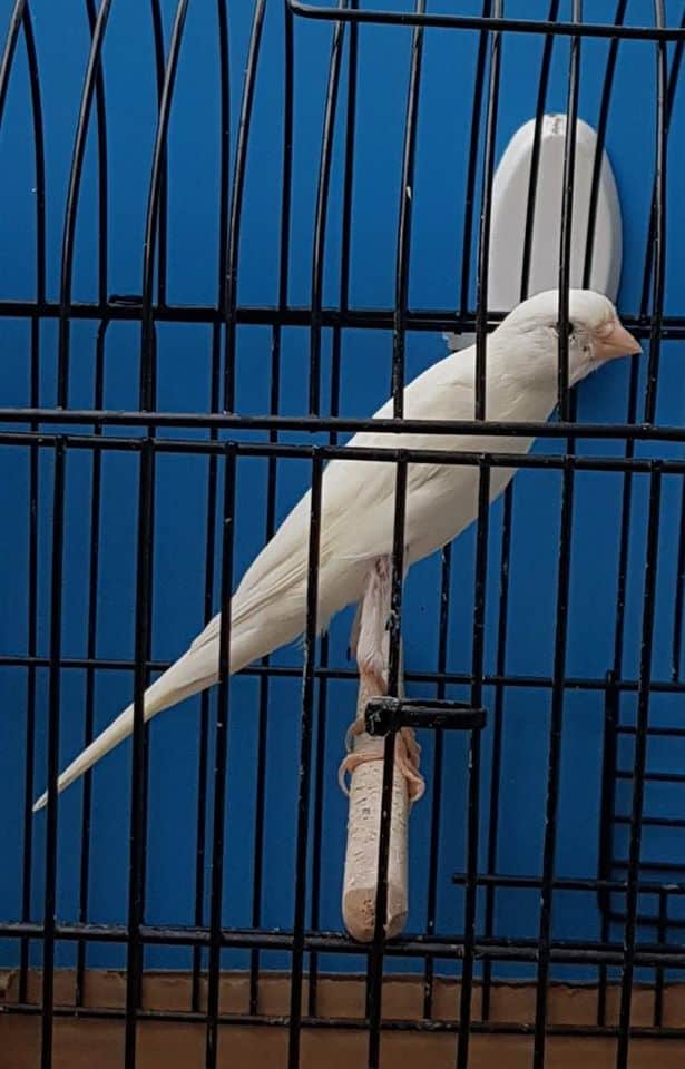 Listing cover image