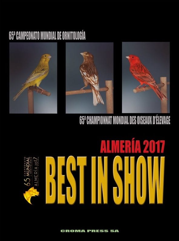 BEST IN SHOW ALMERÍA 2017
