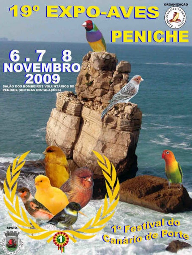 Listing cover image