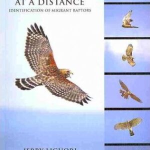 Hawks at a Distance : Identification of Migrant Raptors (9780691135595)