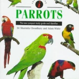 Identifying Parrots (9780785808688)