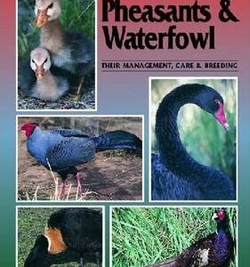 Pheasants and Waterfowl (9780958710237)