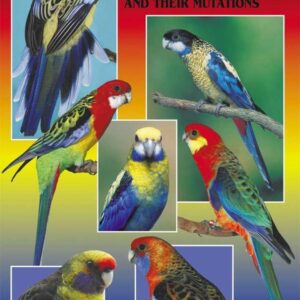 A Guide to Rosellas and their Mutations (9780980492439)