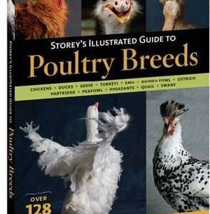 Storey's Illustrated Guide to Poultry Breeds (9781580176675)