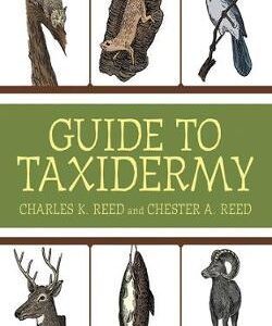 Guide to Taxidermy (9781616085391)