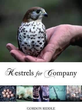 Kestrels for Company (9781849950299)