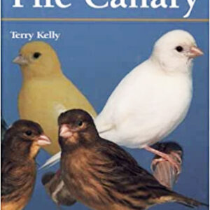 The Fife Canary (9781852791346)