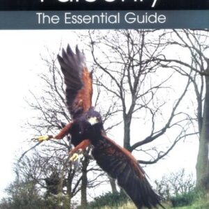 Falconry : The Essential Guide (9781861268631)