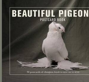 Beautiful Pigeons Postcard Book (9781907332951)