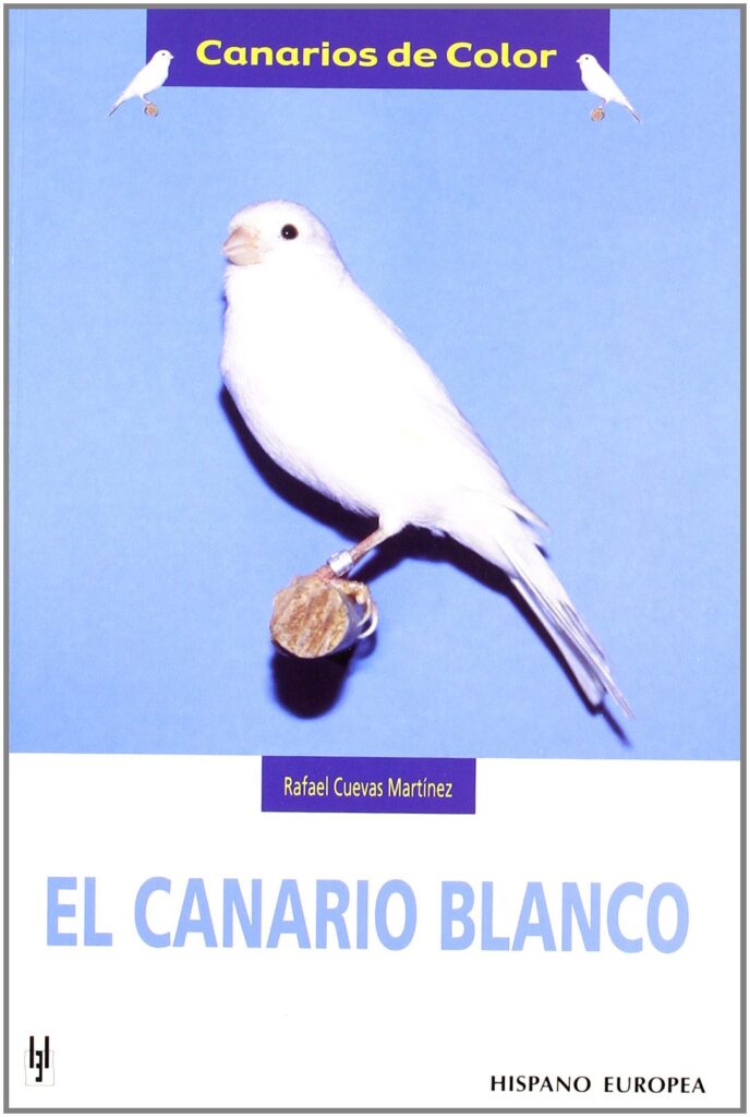 El canario blanco (Canarios de color)