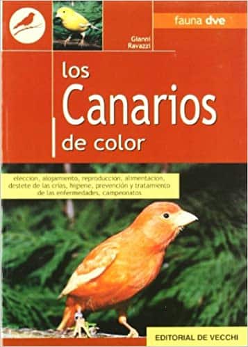 Los canarios de color (9788431523343)