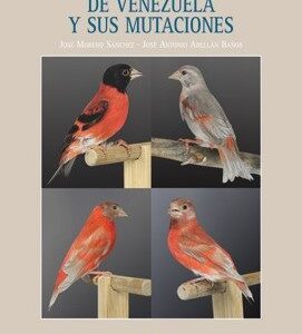 El Cardenalito de Venezuela y sus mutaciones (Carduelis cucullata) (9788493301116)