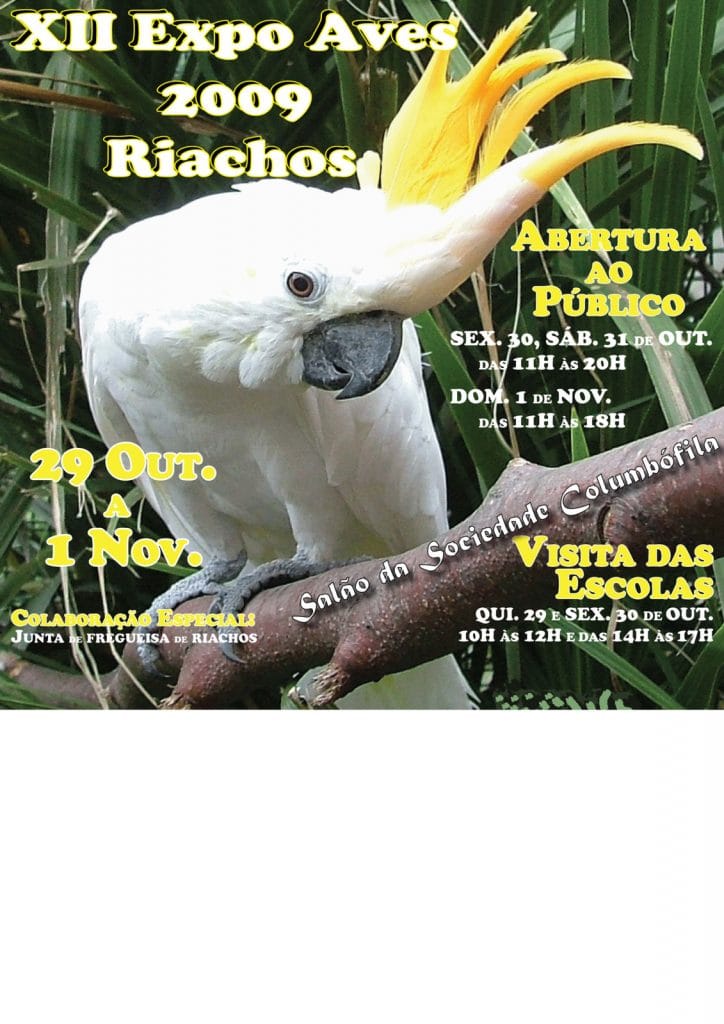 Listing cover image