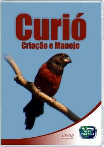 Curió - Criação e Manejo (DVD)