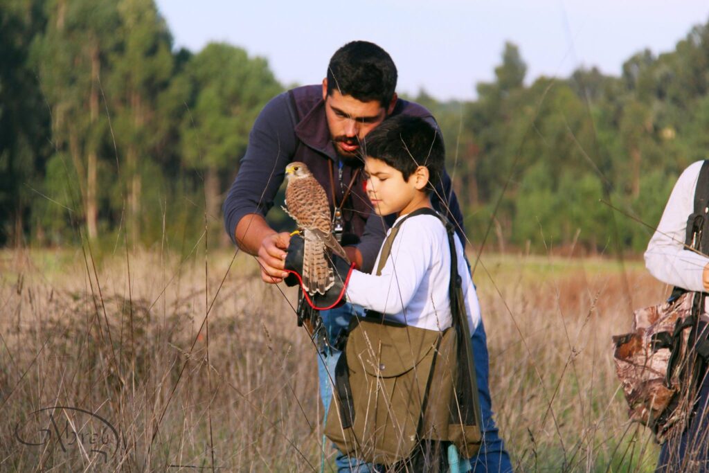 Associação Portuguesa de Falcoaria