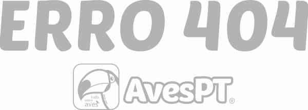 404 Error