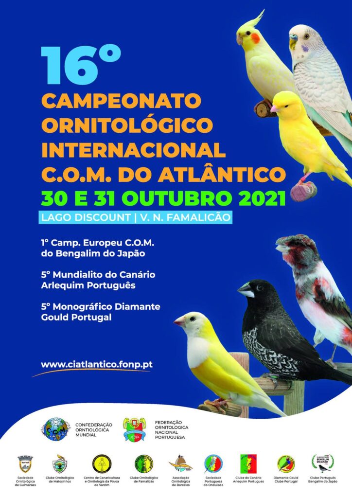 16º Campeonato Ornitológico Internacional COM do Atlântico 2021