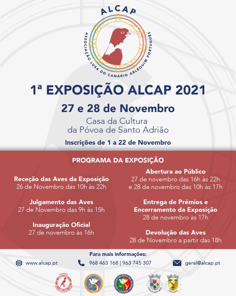 1ª Exposição ALCAP 2021 - Canário Arlequim Português