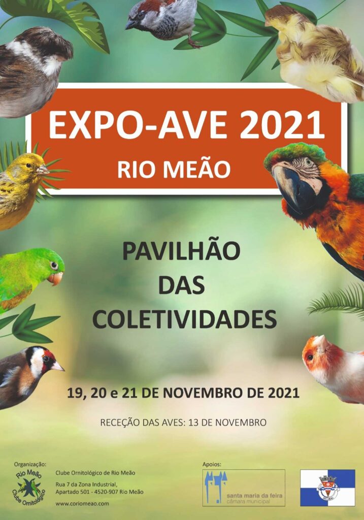 Expo Ave 2021 Rio Meão