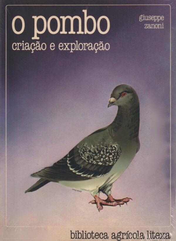 O Pombo – Criação e Exploração