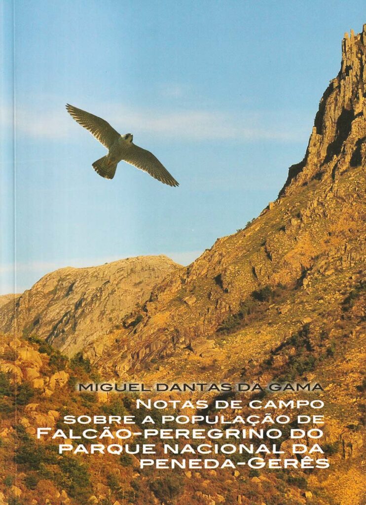 Notas de Campo Sobre a População de Falcão-Peregrino no Parque Nacional da Peneda-Gerês