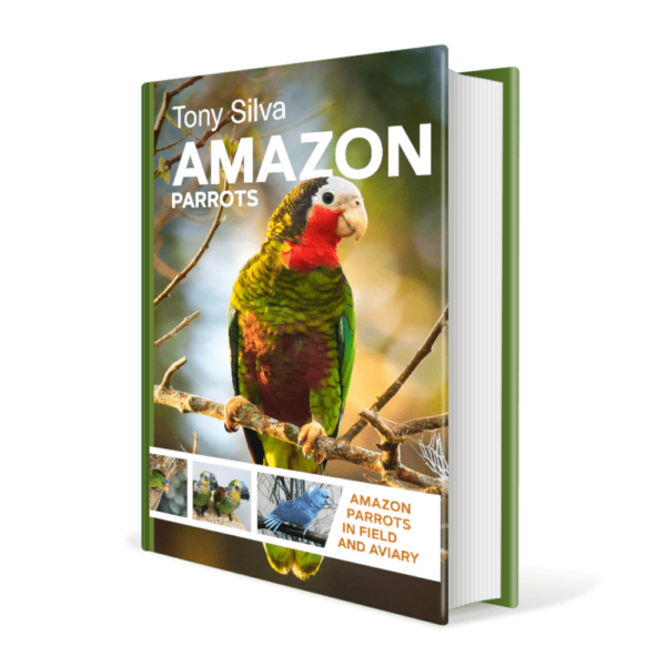 Amazon Parrots by Tony Silva (9788090866904)