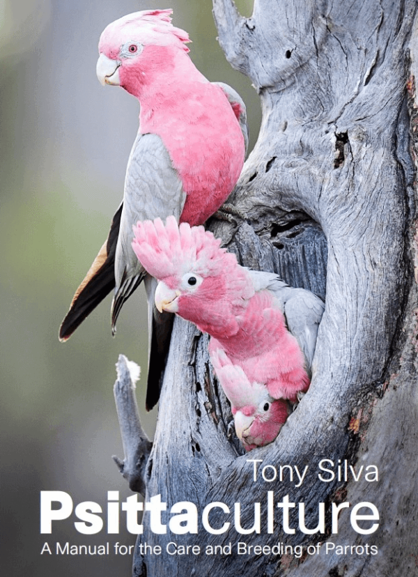 Psittaculture: A Manual for the Care and Breeding of Parrots (English language)