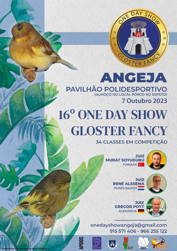 16º One Day Show Gloster Fancy - Angeja 2023