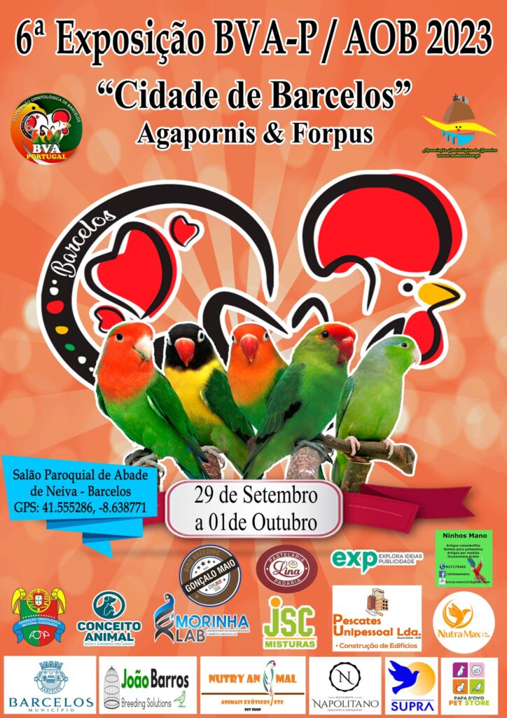 6ª Exposição BVA-P Cidade de Barcelos 2023