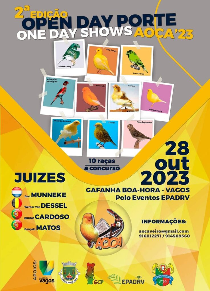 Open Day Show 2023 - Associação Ornitófila Cidade de Aveiro