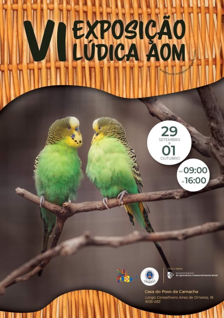 VI Exposição Lúdica AOM 2023