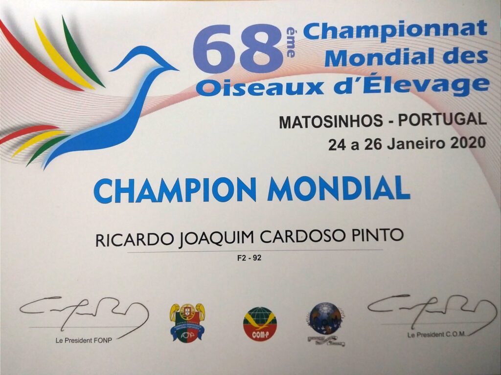 RICARDO JOAQUIM CARDOSO PINTO